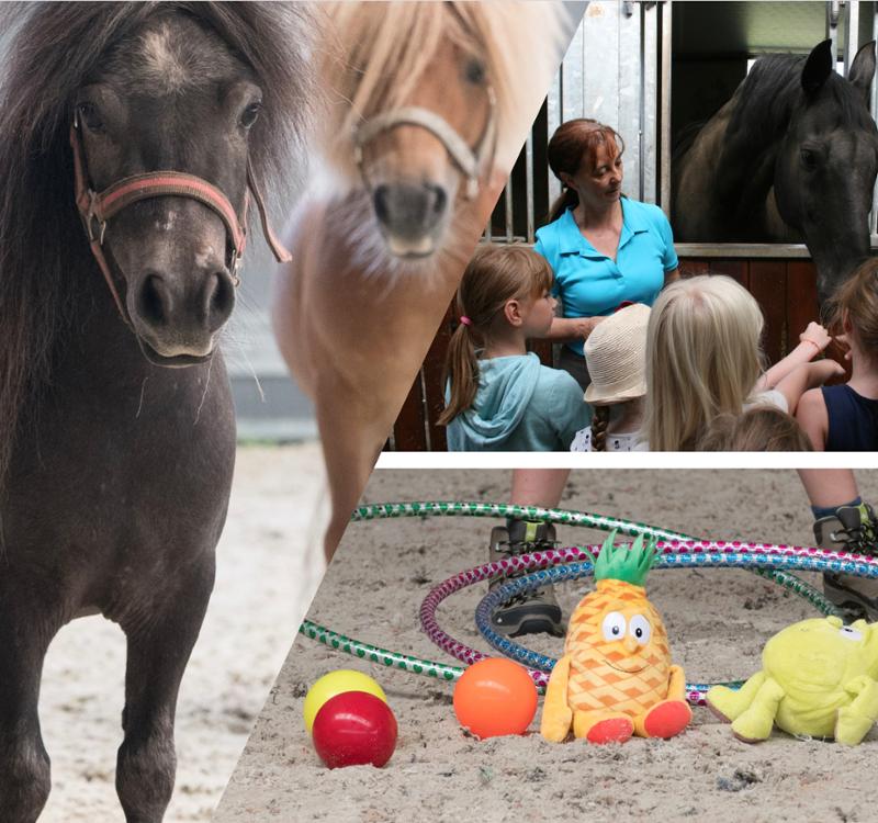 Pony Power! in Boutersem